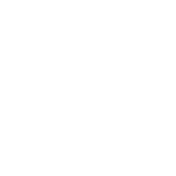 Light bulb and leaf@256